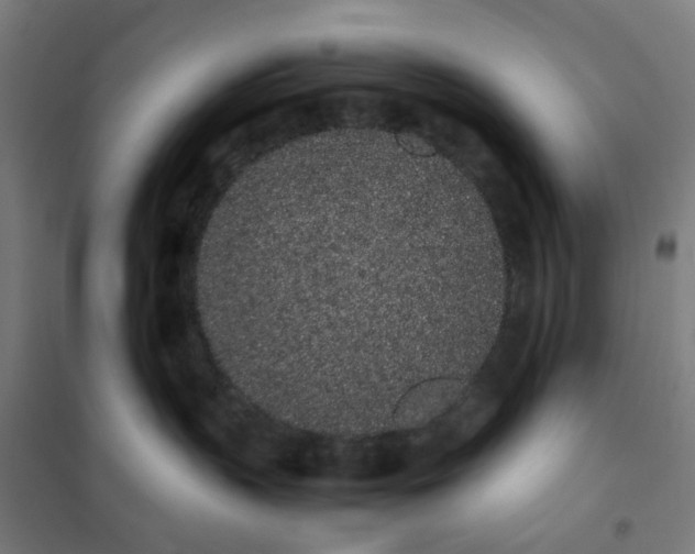 X0000101680383200807241351