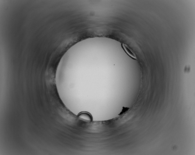 X0000101680384200807241351