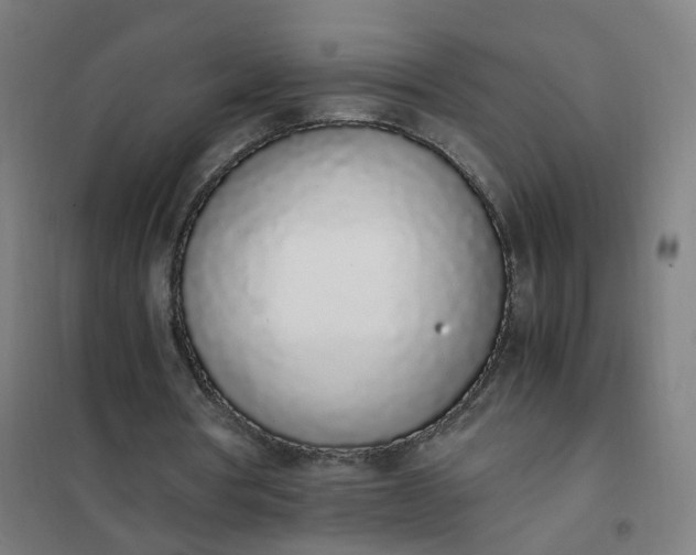 X0000101680386200807241351