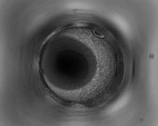 X0000101680387200807241351