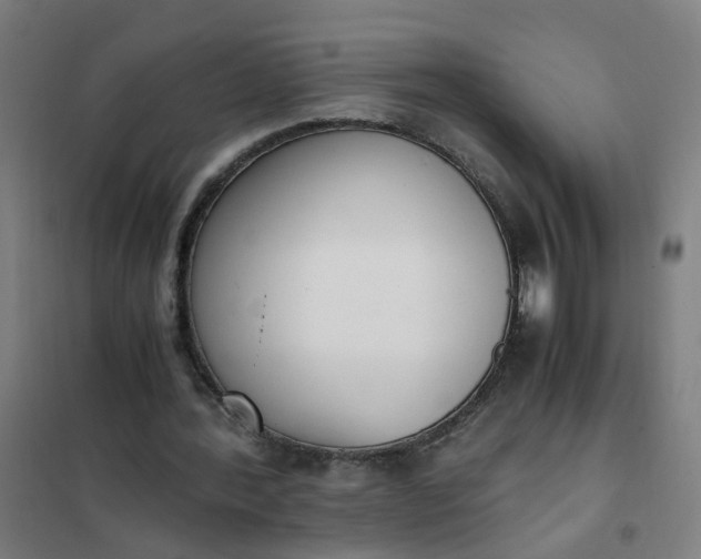 X0000101680388200807241351