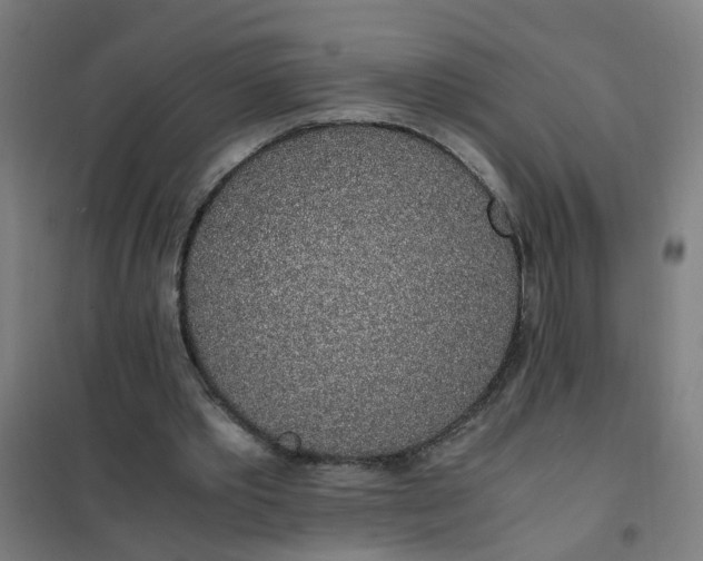 X0000101680389200807241351