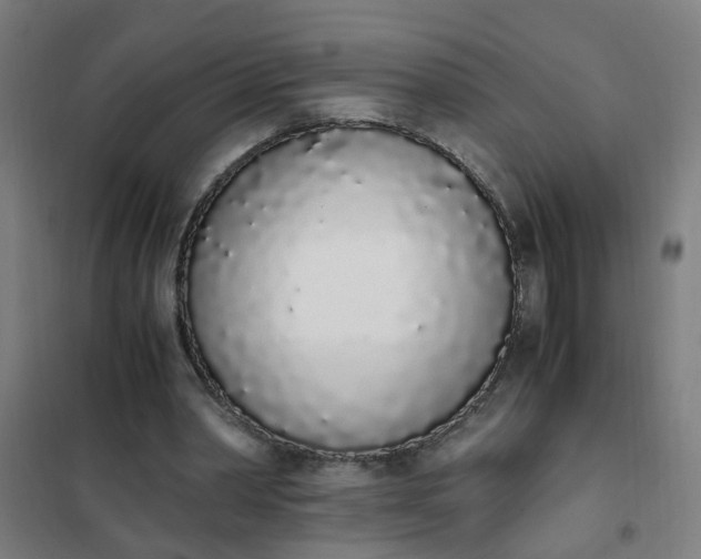 X0000101680390200807241351