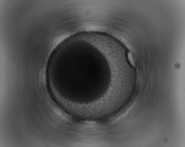 X0000101680391200807241351