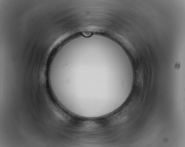 X0000101680392200807241351