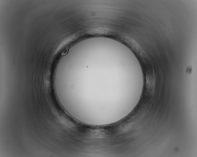 X0000101680396200807241351