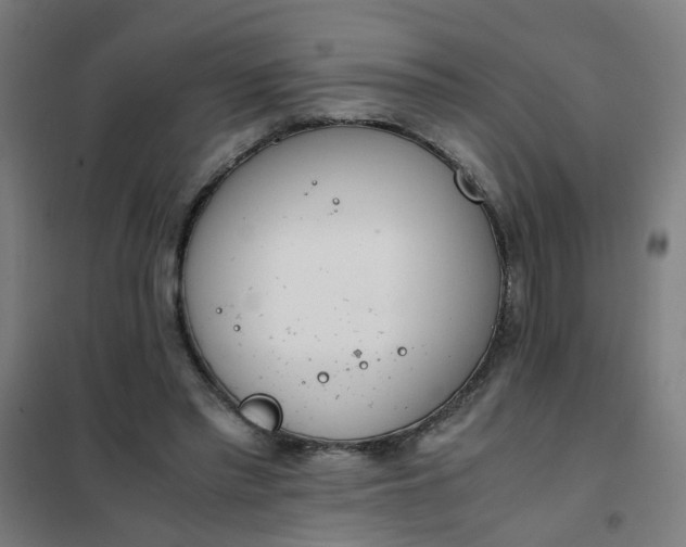 X0000101680397200807241351