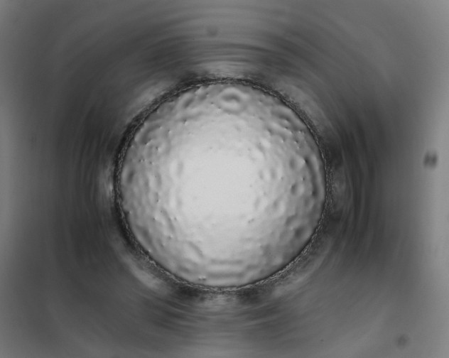 X0000101680398200807241351