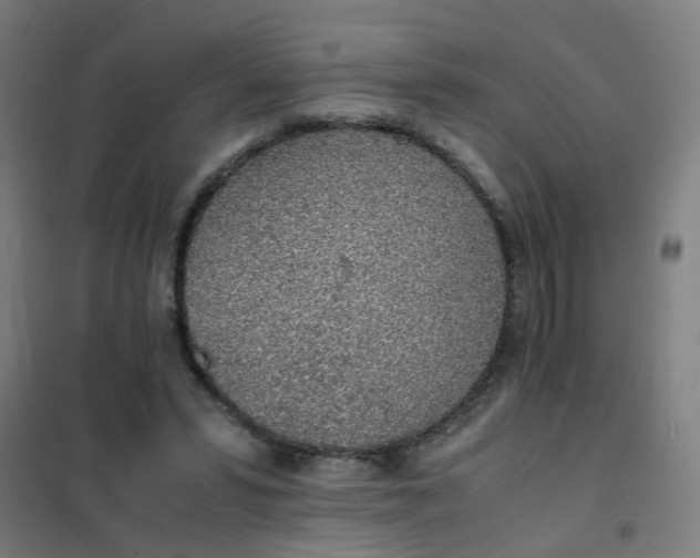 X0000101680399200807241350