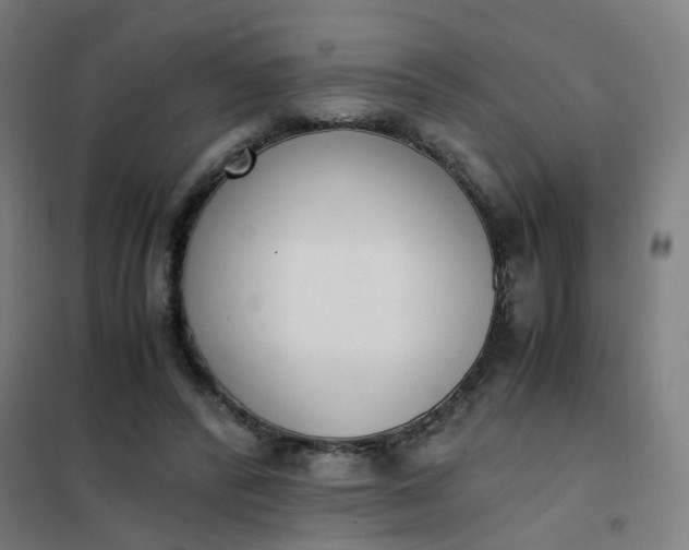 X0000101680400200807241350