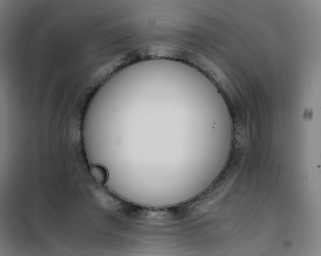 X0000101680401200807241350