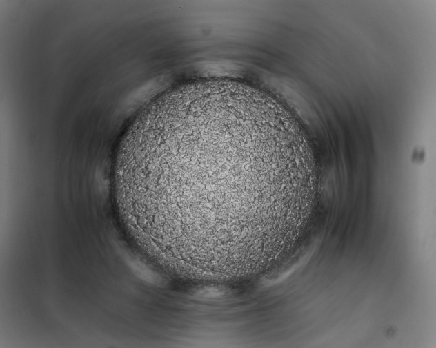 X0000101680402200807241350