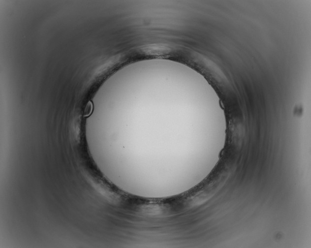 X0000101680404200807241350