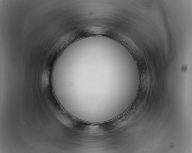 X0000101680406200807241350