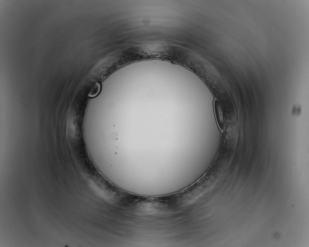 X0000101680408200807241350