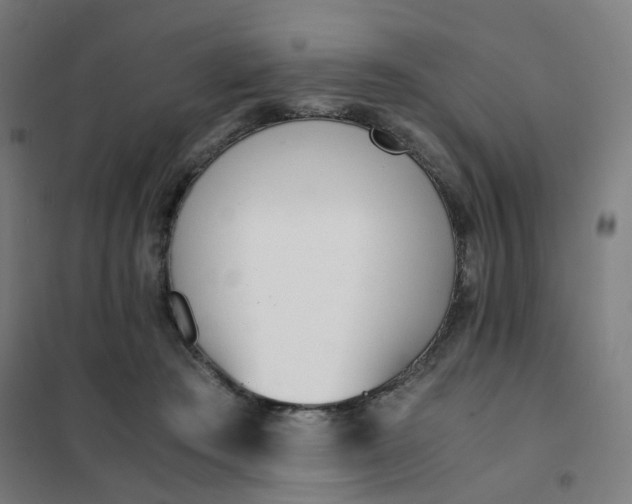 X0000101680409200807241350