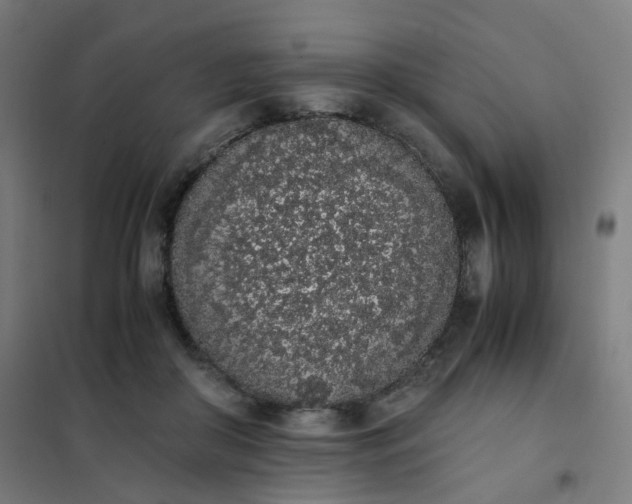 X0000101680410200807241350