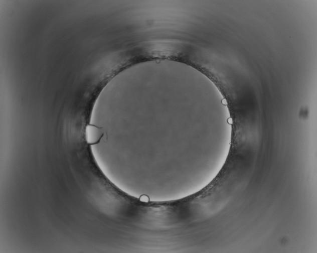 X0000101680411200807241350