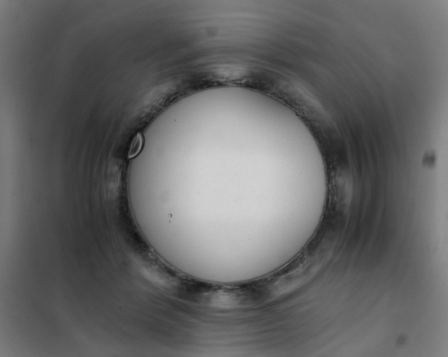 X0000101680412200807241350