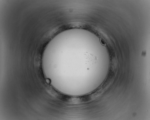 X0000101680413200807241350