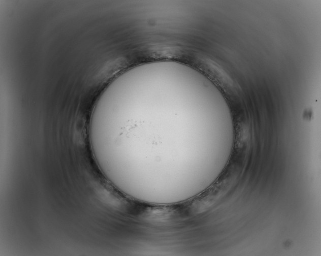 X0000101680414200807241350