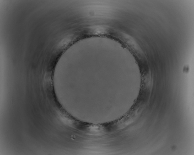 X0000101680415200807241350