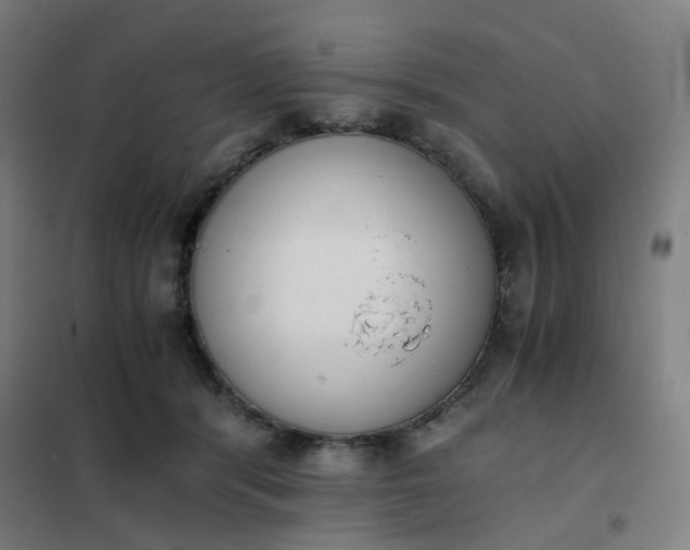 X0000101680416200807241350