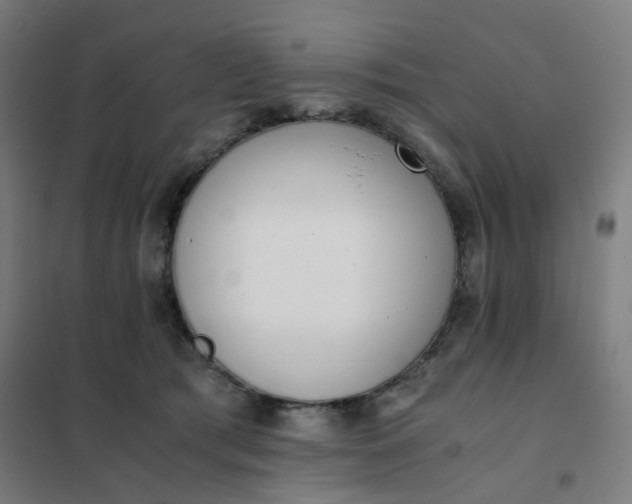 X0000101680417200807241350