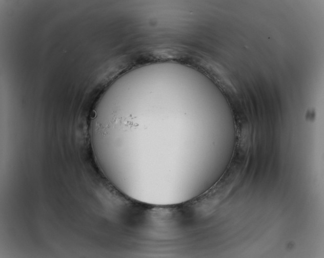 X0000101680418200807241350