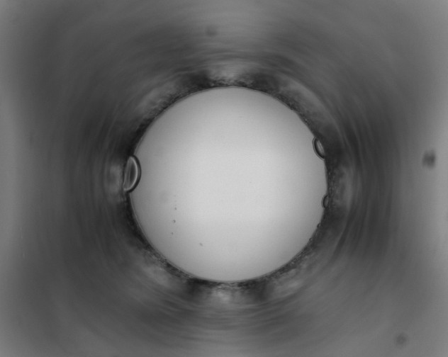 X0000101680420200807241350