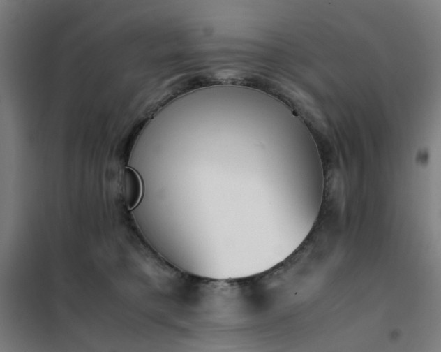 X0000101680421200807241350