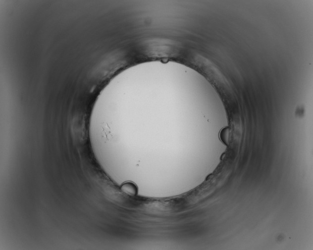 X0000101680422200807241350