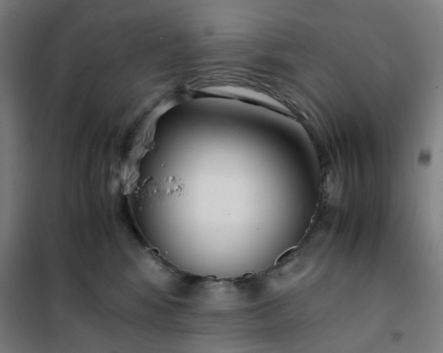 X0000101680424200807241350