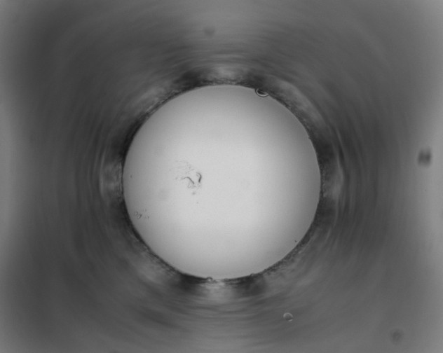 X0000101680425200807241350