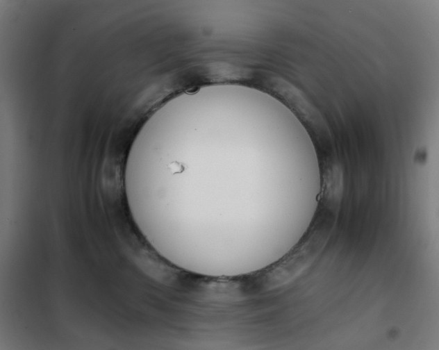 X0000101680426200807241350