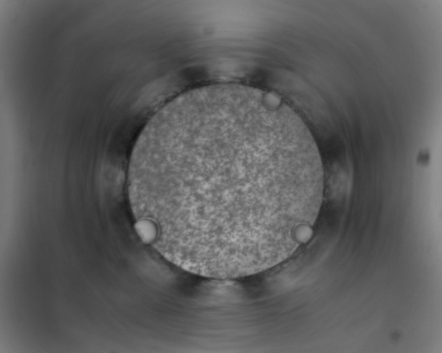 X0000101680427200807241350