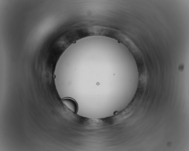 X0000101680429200807241350