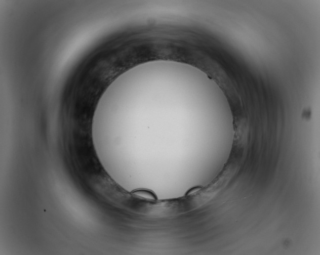 X0000101680430200807241350