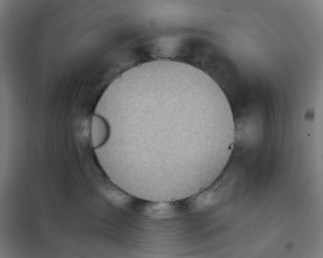 X0000101680431200807241350