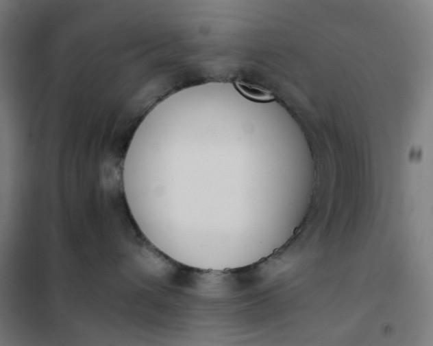 X0000101680432200807241350