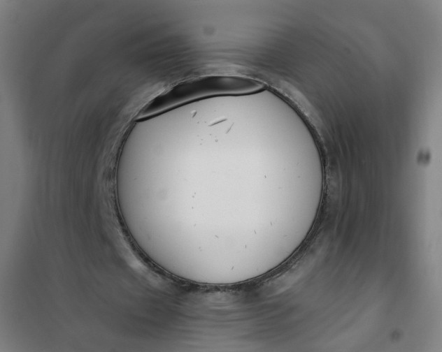 X0000101680433200807241349