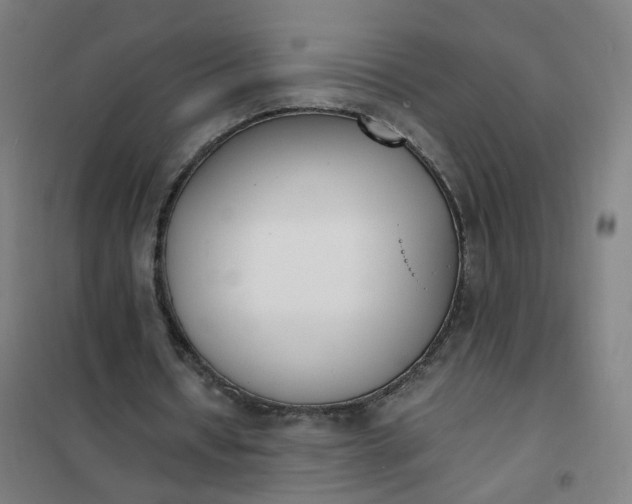 X0000101680434200807241349