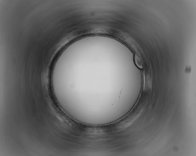 X0000101680435200807241349