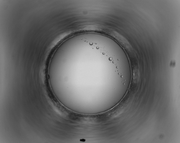 X0000101680436200807241349