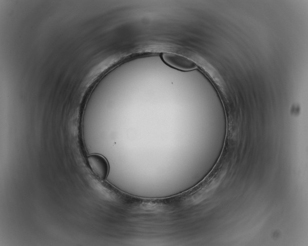 X0000101680437200807241349