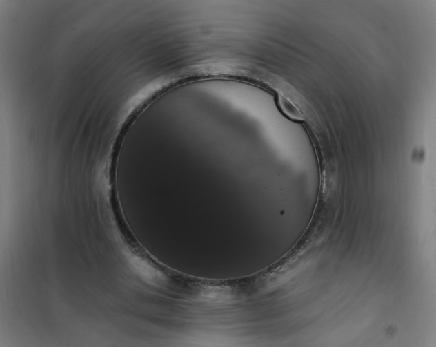 X0000101680438200807241349