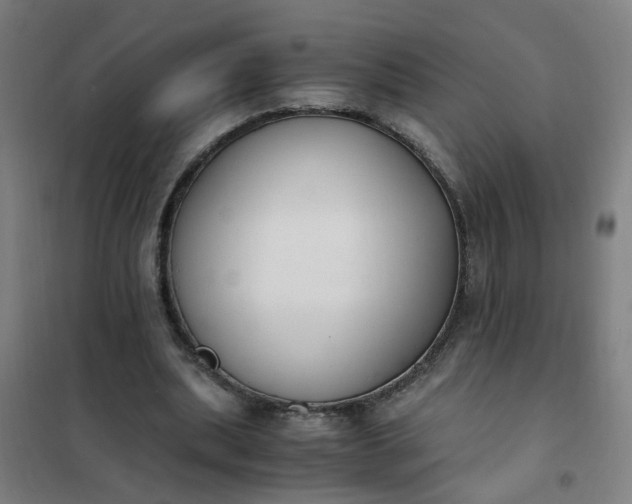 X0000101680439200807241349