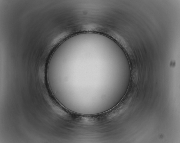 X0000101680442200807241349