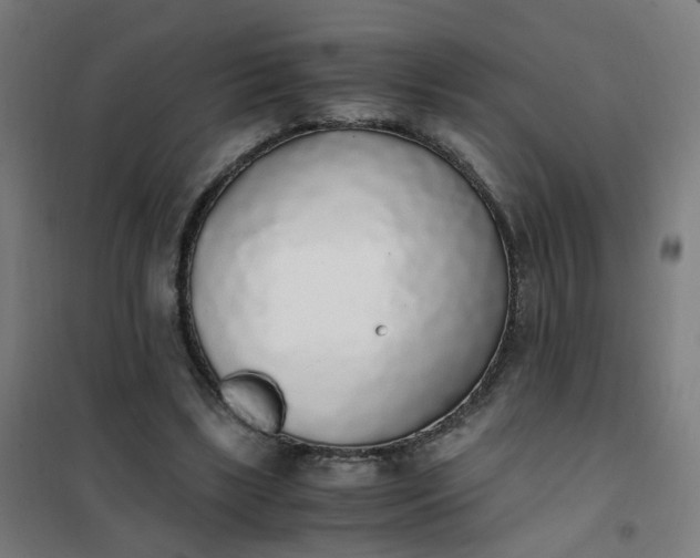 X0000101680443200807241349