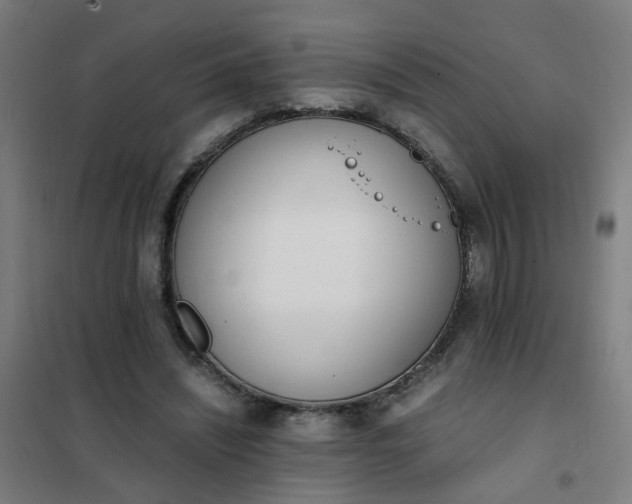 X0000101680444200807241349